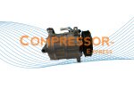 compressor Fiat-22-DCS17IC-PV6