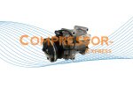 compressor Ford-21-Scroll-PV6