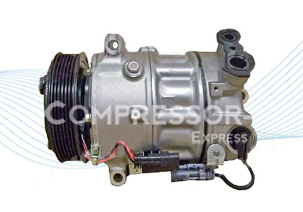 P助　1106090 206164.jpg